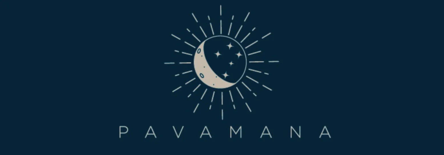 Pavamana trading automation system